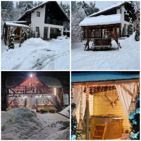 Cabana Alexandra Borşa